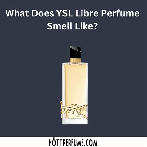 what does ysl smell like.